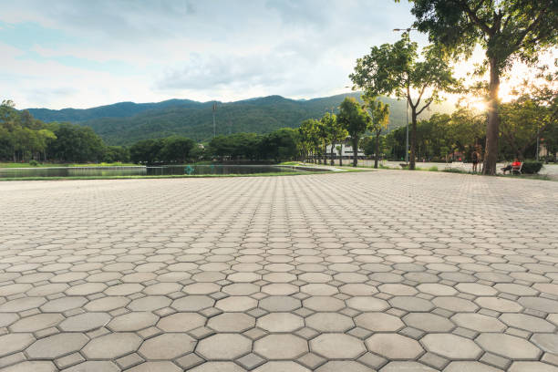 Best Concrete Paver Driveway  in Alice, TX